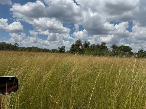 Farm & Agricultural Land