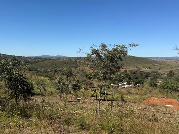 Rusike Estate