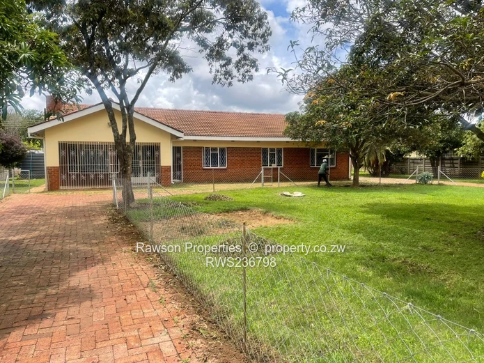 Investment opportunity 