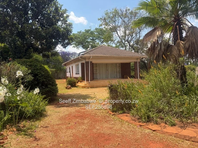 Modern 2-Bed Home with Solar Power & Outdoor Barbecue Area