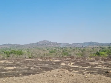 Farm & Agricultural Land