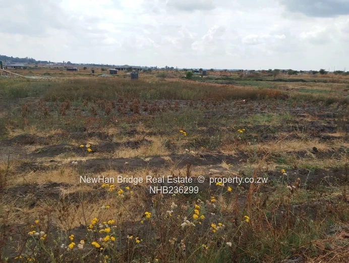 1200m² Fairview Stand — Level Plot with Concrete Slab & Hill Views