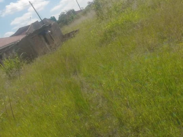 Commercial & Industrial Land