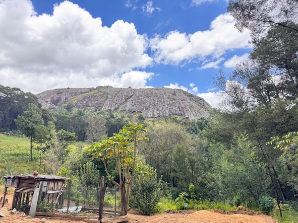 Farm & Agricultural Land