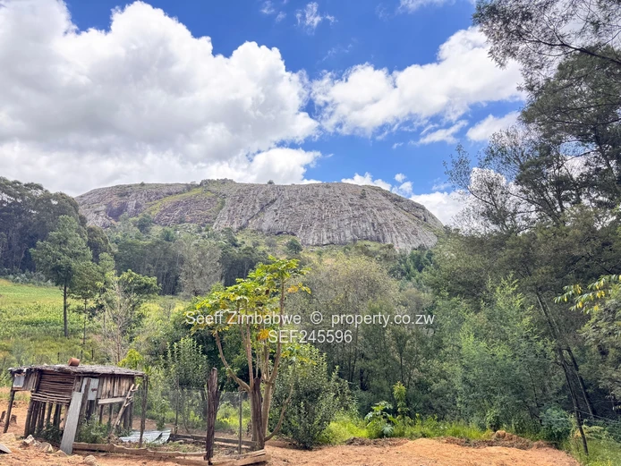 14-Hectare Agri-Residential Plot along Chamakova