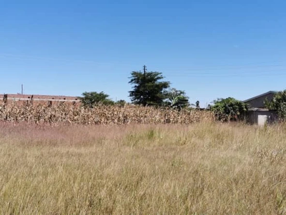 Stands & Residential Land
