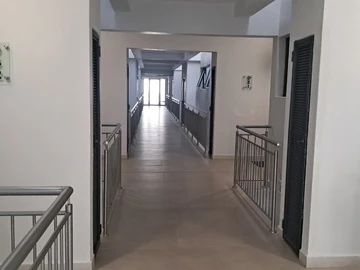 Flat & Apartment