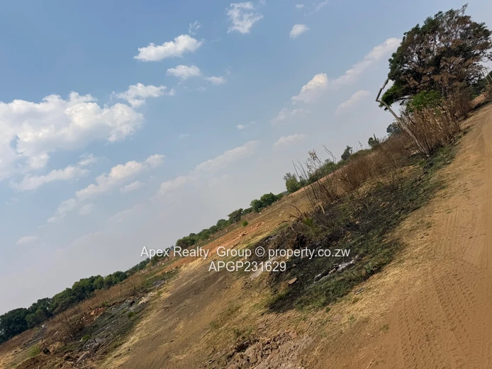 14 Hectares for Sale in Malborough 