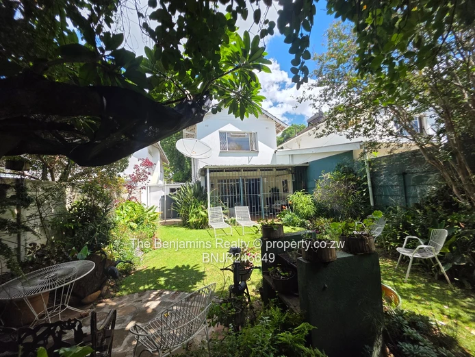 Fully Furnished Garden Flat In Avondale