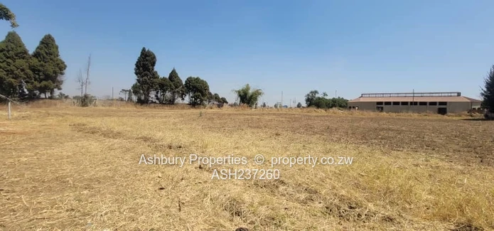 Golden Commercial Opportunity to Establish A Mall & More 