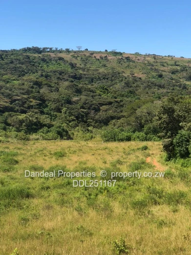 100ha Lakeside Residential Development in Chiredzi  Subdivision  Permit i