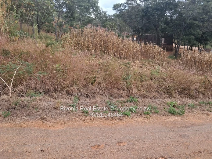 1800m² Secure Stand, Carrick Creagh — Road Frontage & Trees
