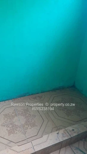 Investment opportunity 