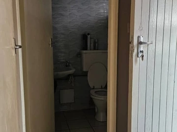 Flat & Apartment