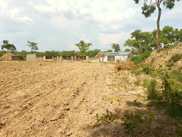 Farm & Agricultural Land