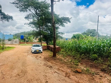 Stands & Residential Land