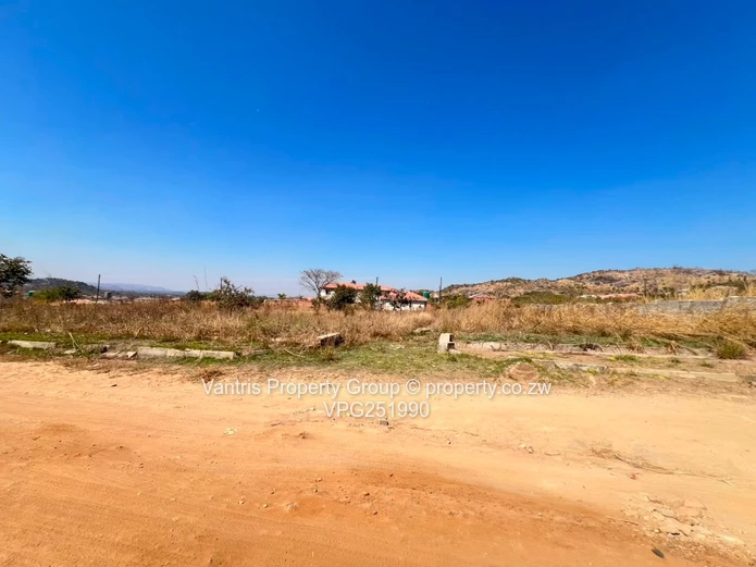 Palm village stands for sale !!!!
