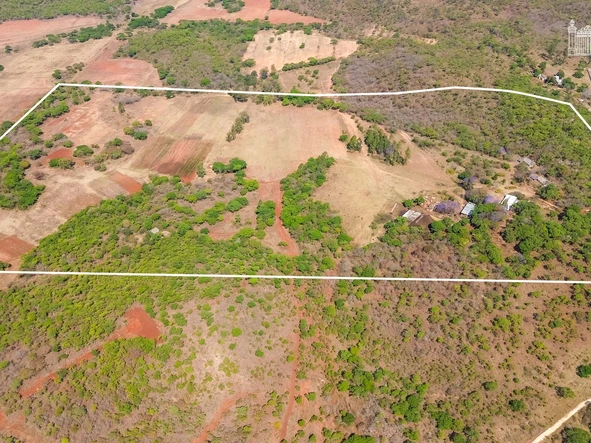 Farm & Agricultural Land