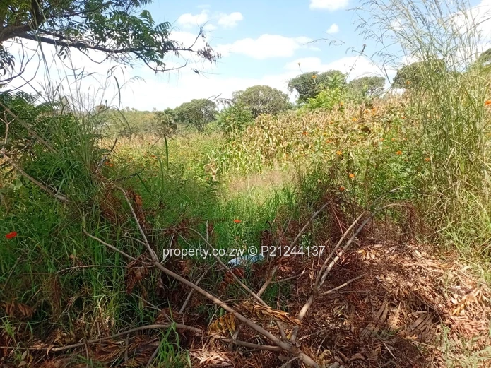 Borrowdale Brooke Road