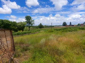 Farm & Agricultural Land