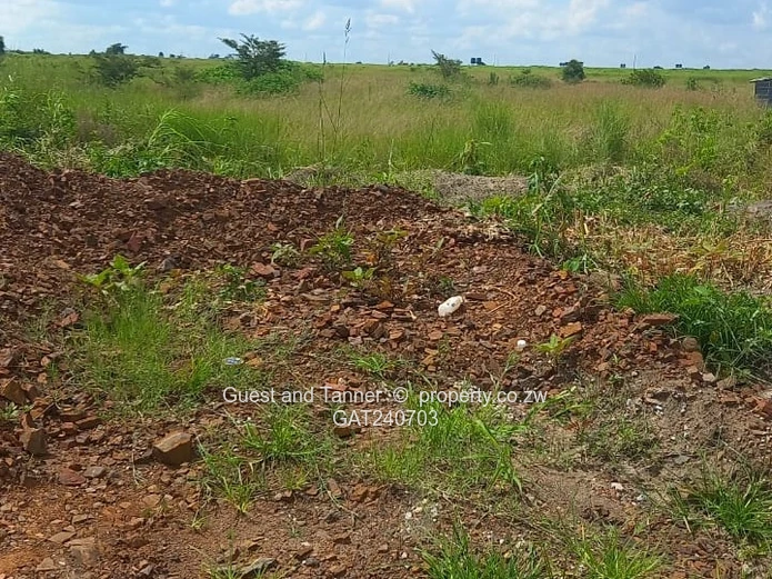 Prime 1318 m2 Serviced Residential Stand for Sale in Haydon Park