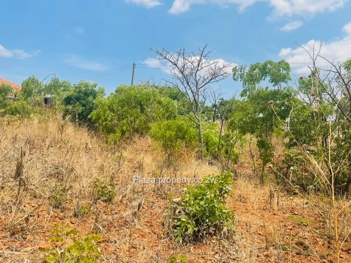Stand For Sale – Norton, Knowe Phase 1