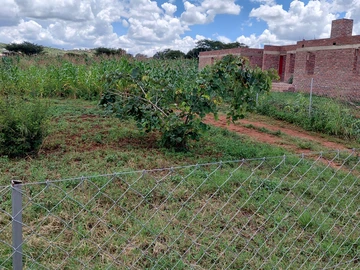 Stands & Residential Land
