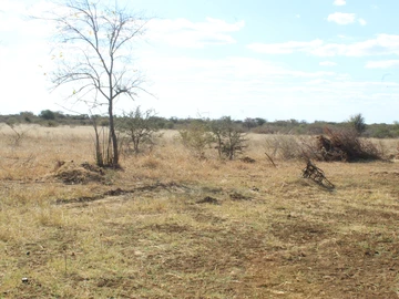 Farm & Agricultural Land