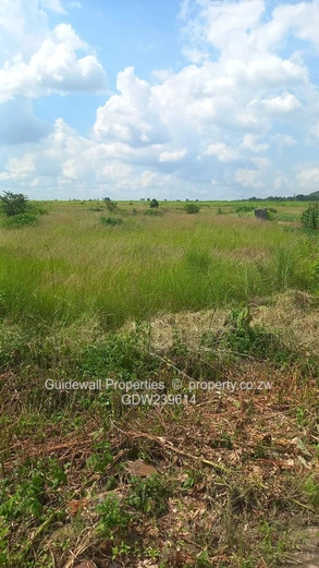 Stand for sale in Haydon Park