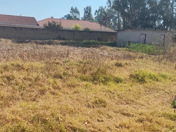 Commercial Property