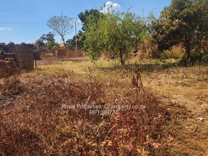 Hatcliffe  Stand for sale