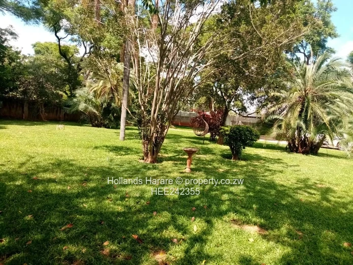 Greendale 4 bed house.