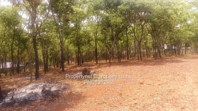 Prime Property  (Sole Mandate)