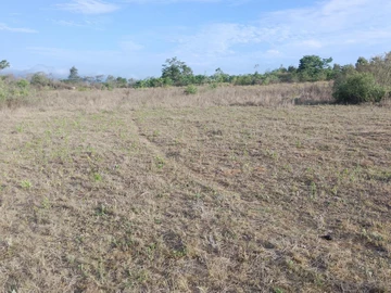 Farm & Agricultural Land