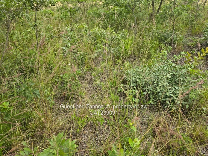 2159sqm Marondera low density residential stand for sale