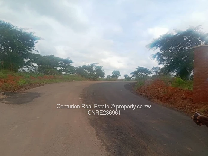 Pomona Wild Geese stand for sale