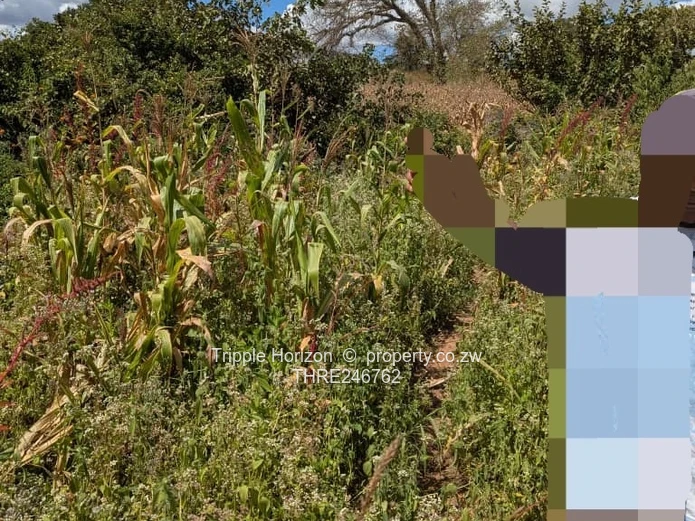 Industrial land for sale in chinhoyi along chengutu route 