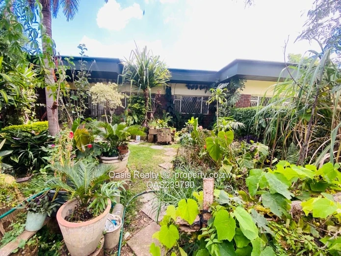 A rare opportunity to secure a neat, well-serviced garden apartment in Avondale.