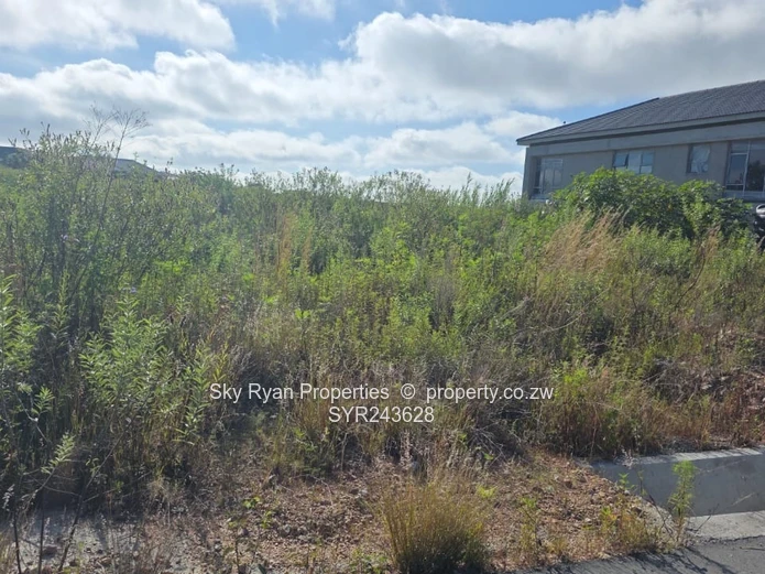 Arlington East Stand For Sale 