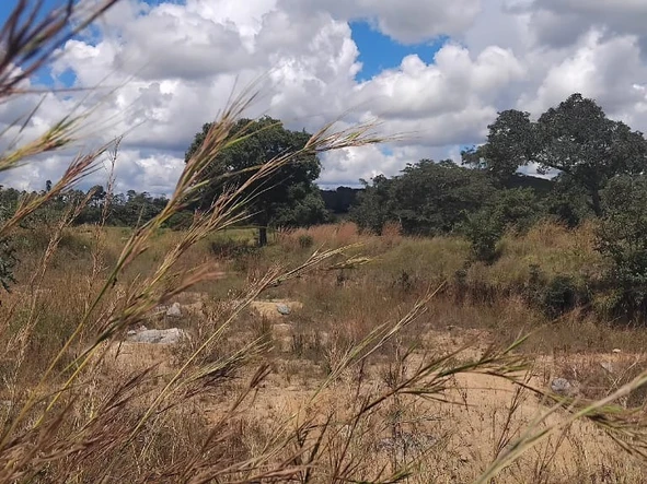 Farm & Agricultural Land