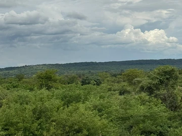 Commercial & Industrial Land