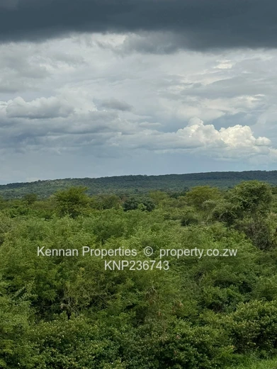 Beautiful Land for Sale in Kadoma 206 497 square metres