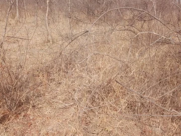 Commercial & Industrial Land