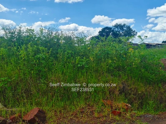 Prime 453m² Stand in Cold Comfort — Tarred Road & Services