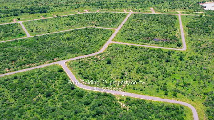 Isinga Stands For Sale
