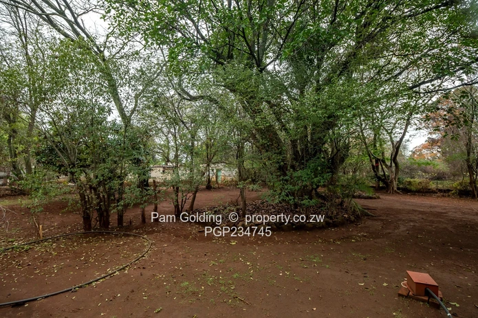 Solid Home -Zoned For Mixed Use!!!!! (Sole Mandate)