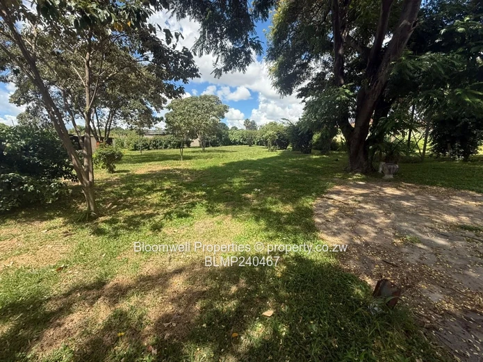 Renovators Dream With Huge Potential