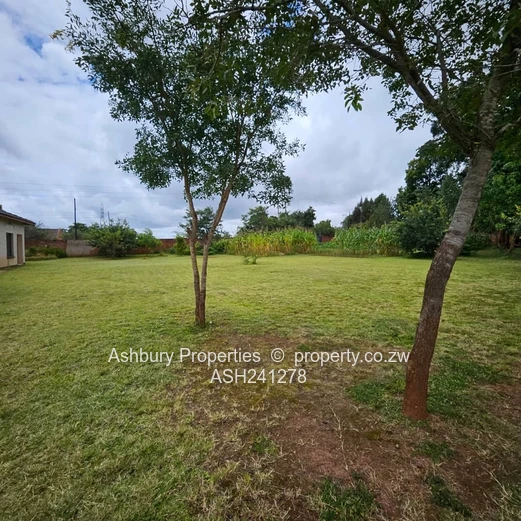 A prime Stand in the Leafy side of Mandara