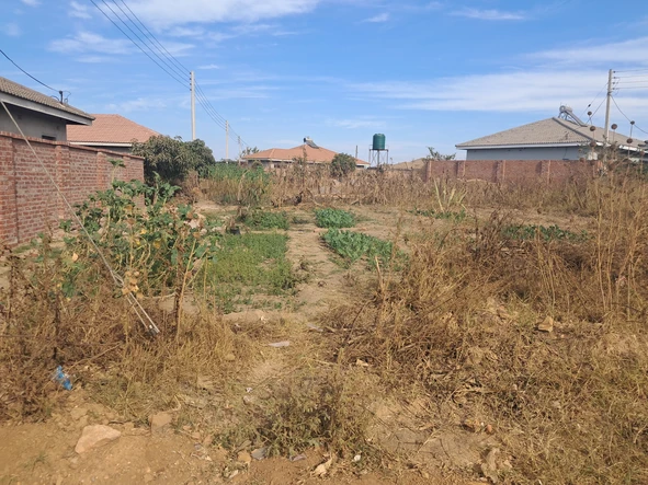 Stands & Residential Land