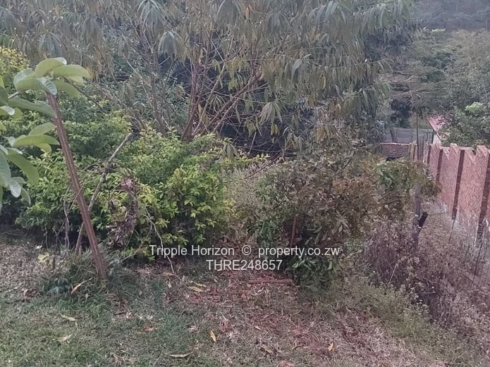 2000m² Shawasha Hills Stand — Main Road Frontage, Red Soil & Outbuilding